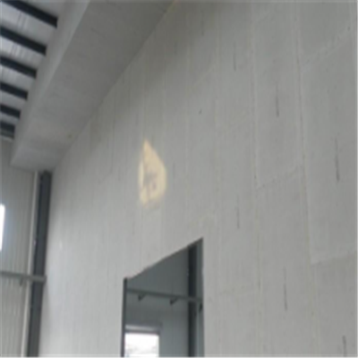 怀宁宁波ALC板|EPS加气板隔墙与混凝土整浇联接的实验研讨